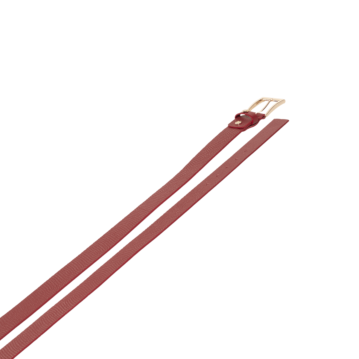 Cinturón para Mujer 658 8