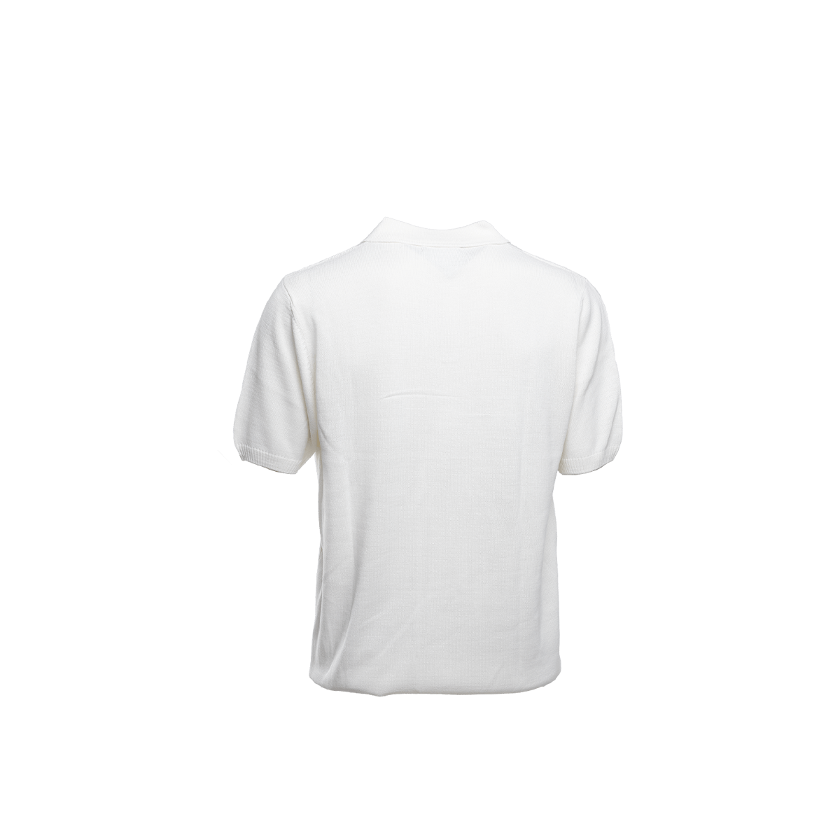 Camiseta Polo para Hombre Turin 3