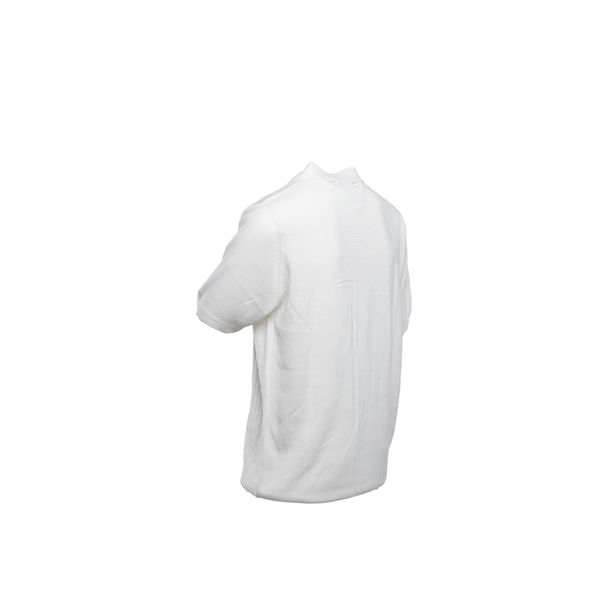 Camiseta Polo para Hombre Turin 4
